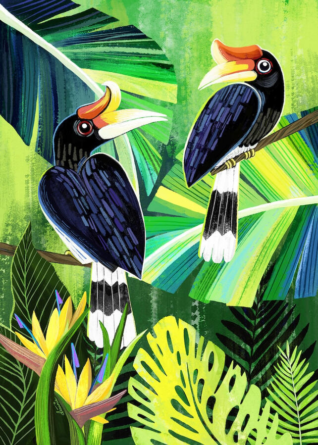 Drawing of a pair of hornbills, the national bird of Malaysia. One of the largest birds in the rainforests of Asia.