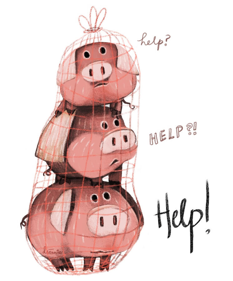 Sketching of three little pigs caught in a net, crying for help.